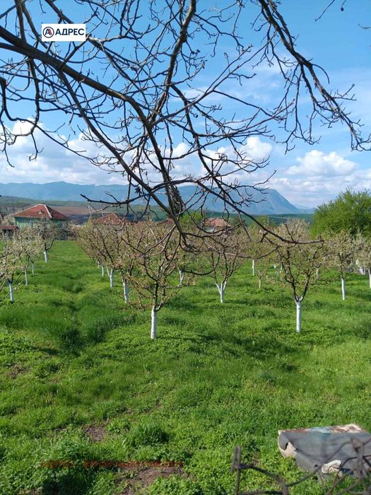Парцел в Враца, област-с.Лиляче площ 1156 цена 22000