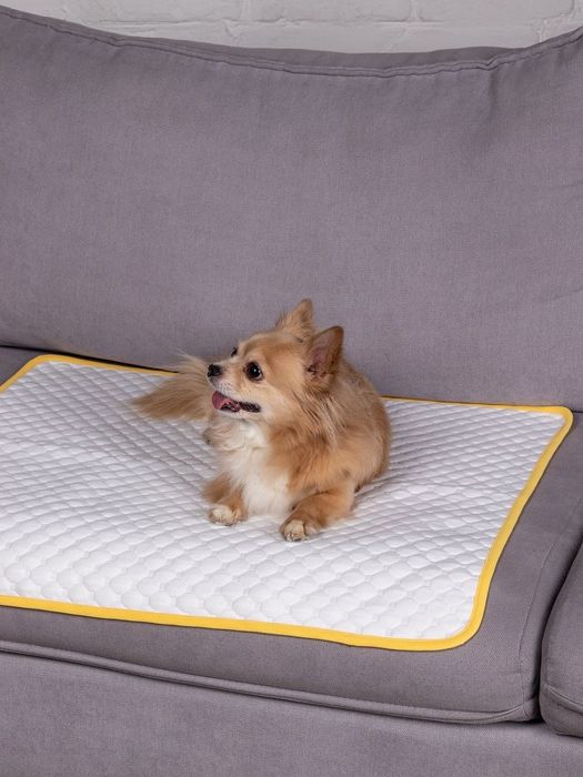 Многоразовые пеленки для собак