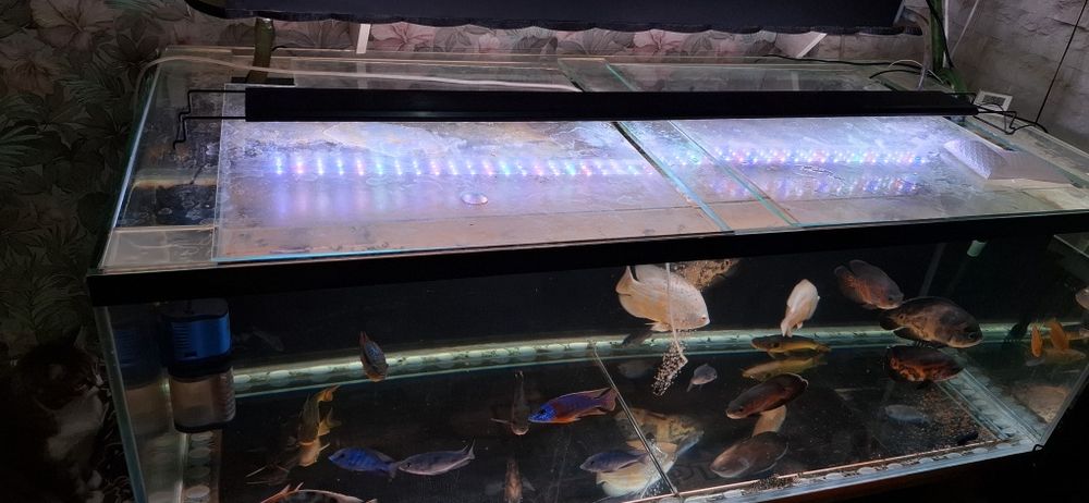 Продаю большой аквариум.