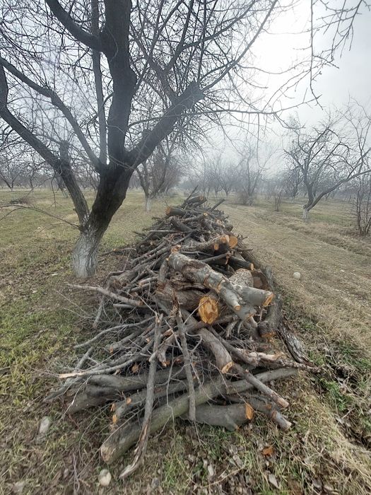 Otin sotiladi fargona