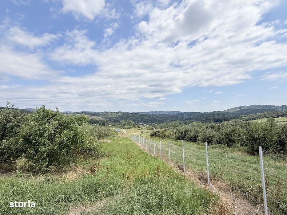 Teren intravilan 2771mp, cu livadă de meri, Breaza - Livada lui David