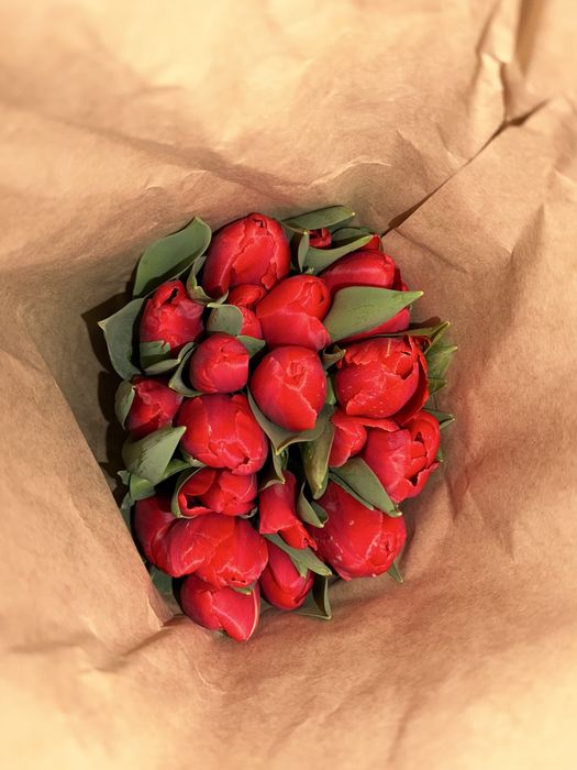 Свежие тюльпаны к 8 марта