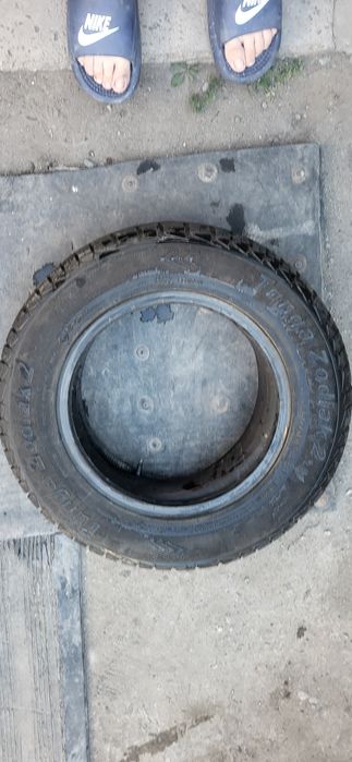 Разновидность автошин