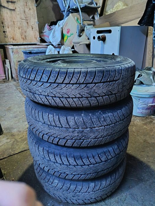 зимные покрышка дискасымен