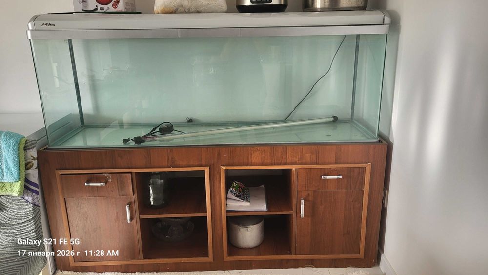 Аквариум   үлкеееен