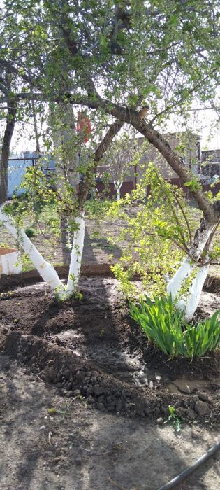 Продаётся 3-х комн газиф дом