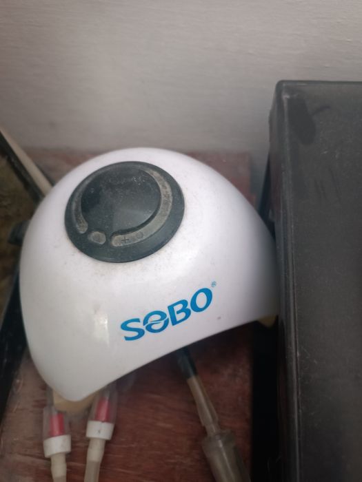 Продавам оборудван аквариум 60литра