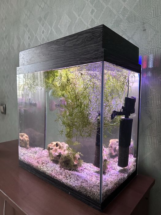 Продам  аквариум