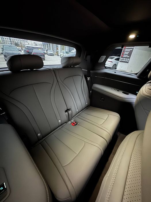 Denza N9 Full dopopsiys