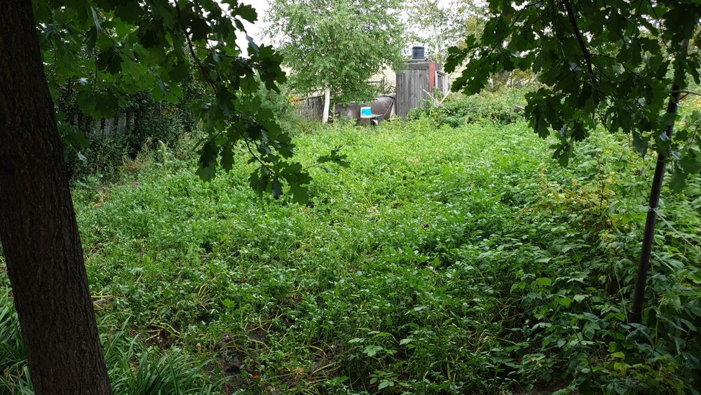 Продам дом с огородом