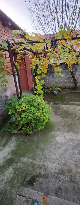 Casă de închiriat in Moldova Veche Caraș Severin