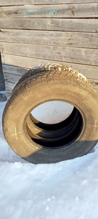 Продам резину не дорого