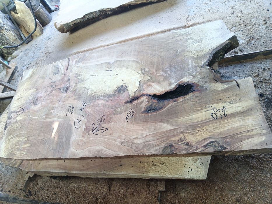 Blaturi mese deosebite