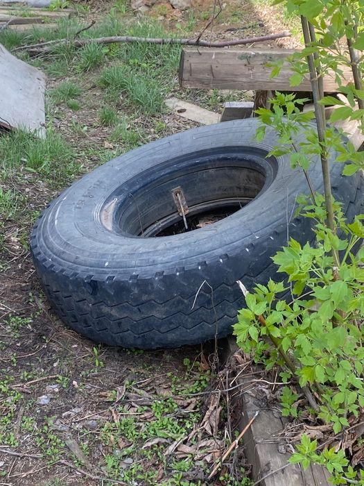 Продам покрышки на Шахман