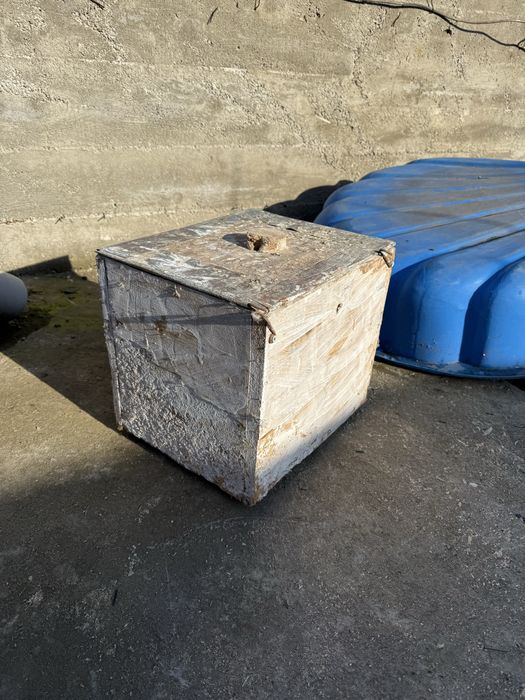 Execut cuiburi papagali