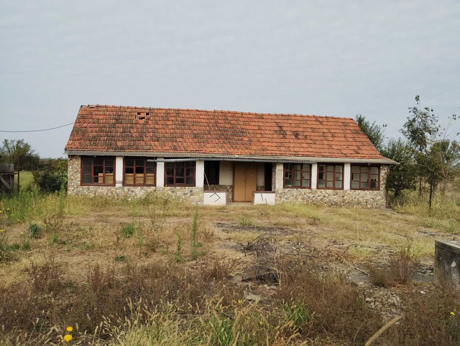 Casa veche din 1955 si teren intravilan 6153 mp,Localitate Sinersig,Jud Timis