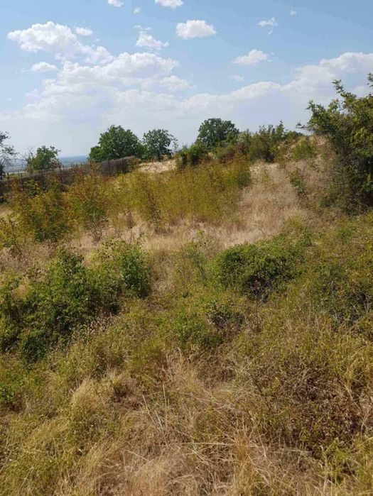 Продава се дворно място 1 648 дка в с. Оряховица