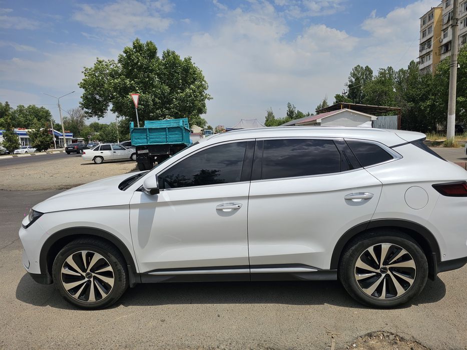 Byd Champion 605