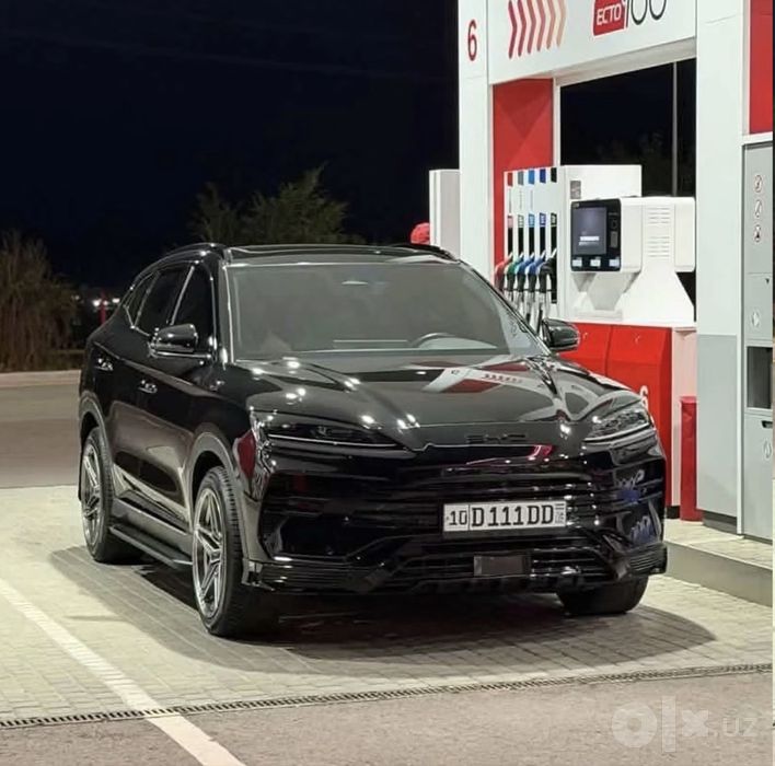Byd champion 150