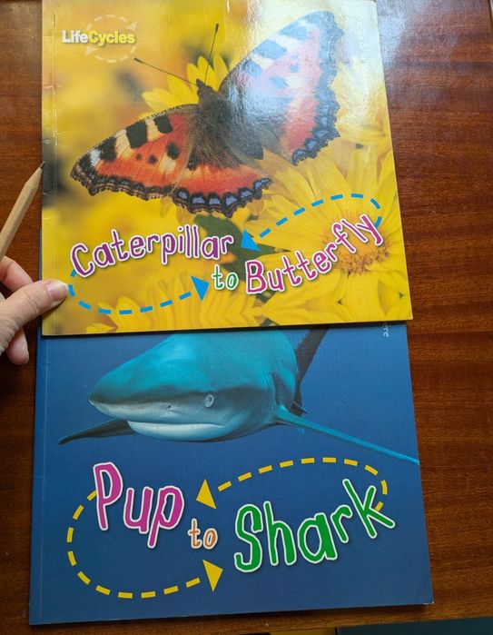 Set 2 carti in engleza din seria  Life Cycles  Fluturi si rechini