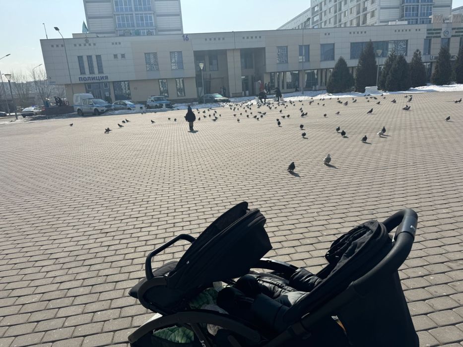 Коляска прогулочная для двух детей