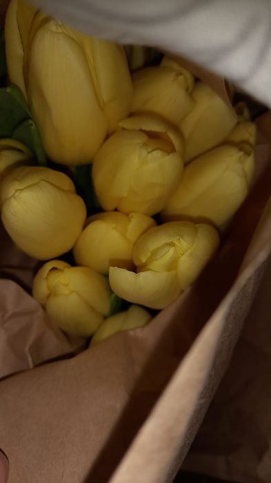 Тюлпаны свежие с луковицами оптом 24/7