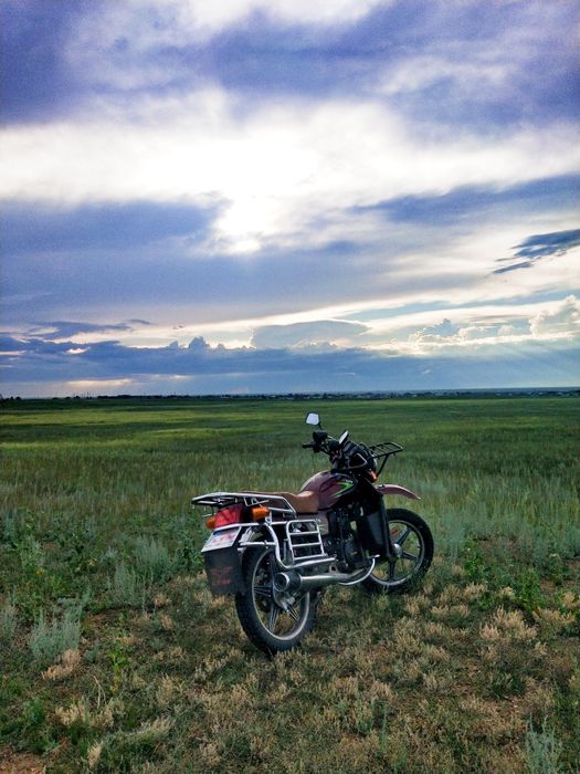 ЛТМ продаётся новый