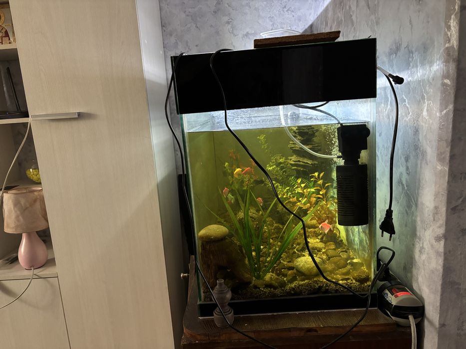 Продаеться оквариум с рыбками