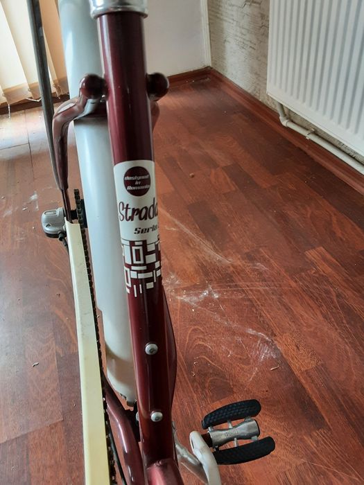 Bicicleta Pegas cu sa lunga