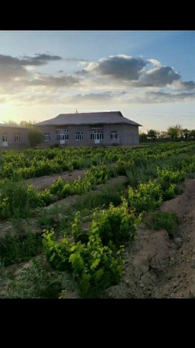 uy joy sotiladi 50 sotix 320 000$ kelishamjz