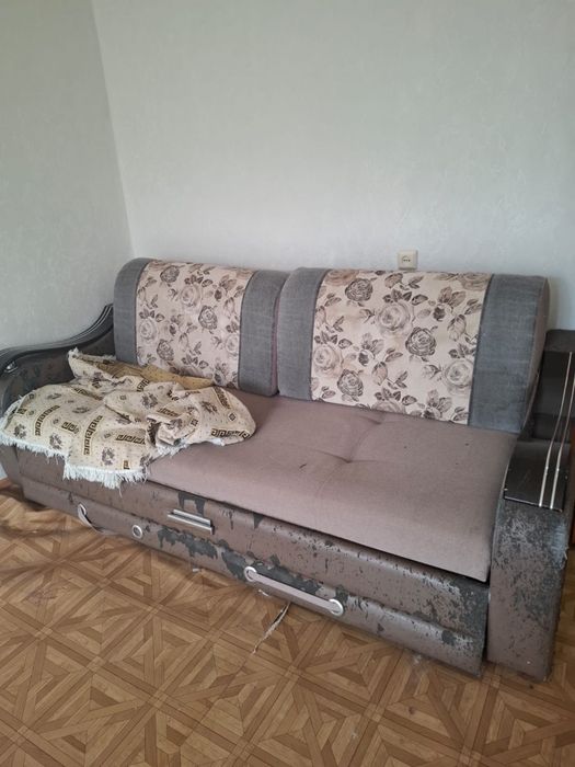 Бесплатно отдам север восток звоните
