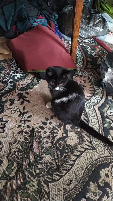 Xotin buzuq va yalangoch