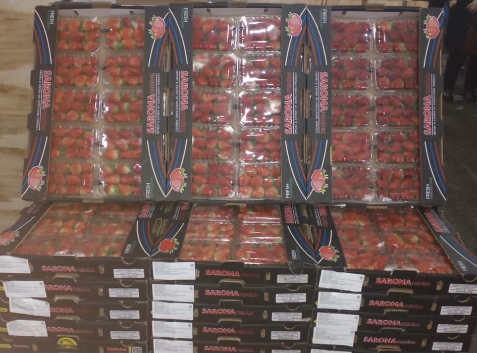 Клубнтка в розницу и оптом