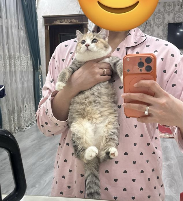 Трёхцветная девочка