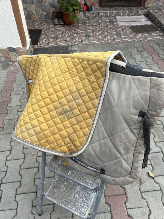 Şa pentru echitatie/ călărie