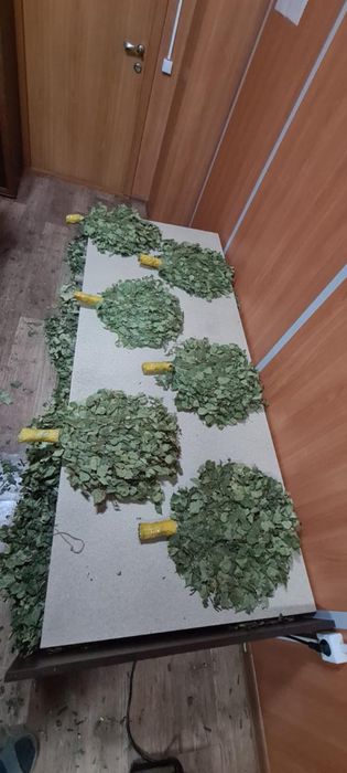 Веники для бани из дуба березы елки