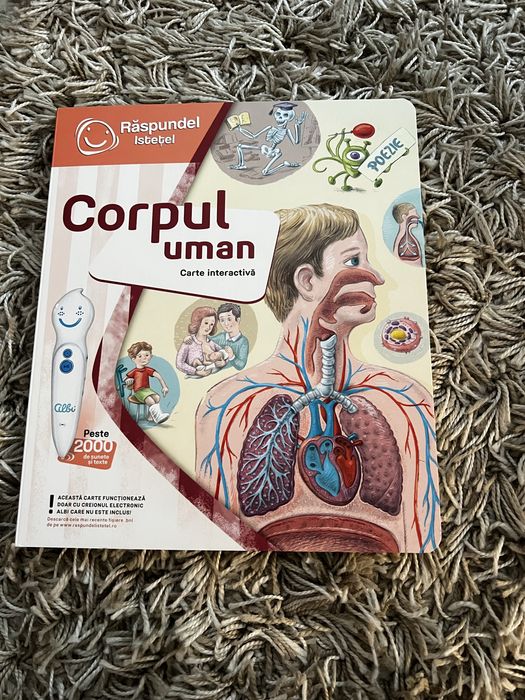 Pachet Raspundel Istetel