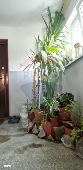 Apartament cu 3 camere de vânzare în zona Sud-Est