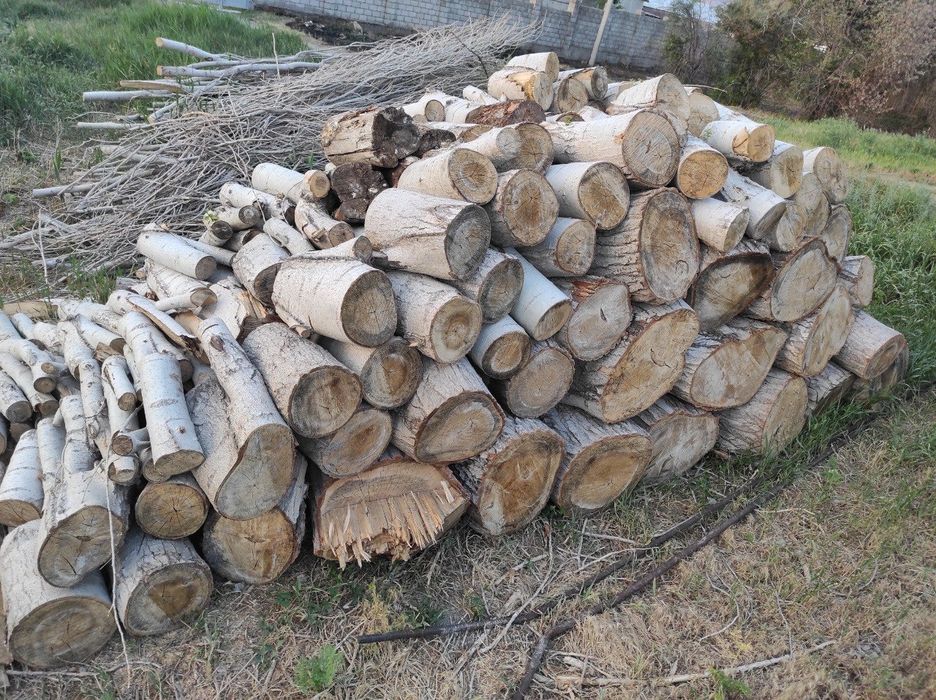 Дрова тополь, самовывоз