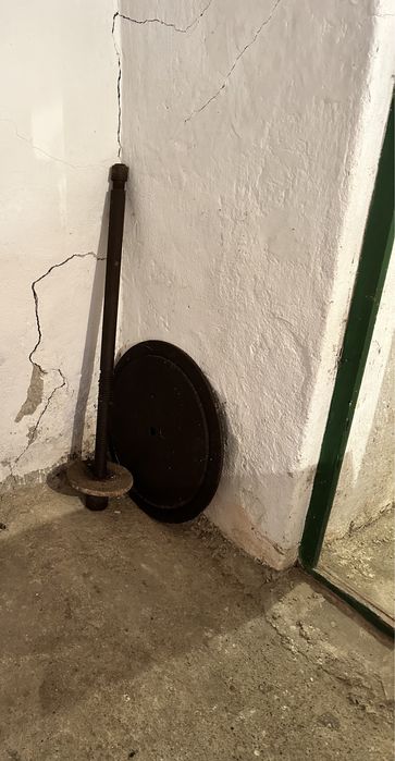 Vand ax si baza tescuit (teasc)