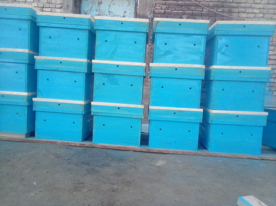 асалари.яшиклари