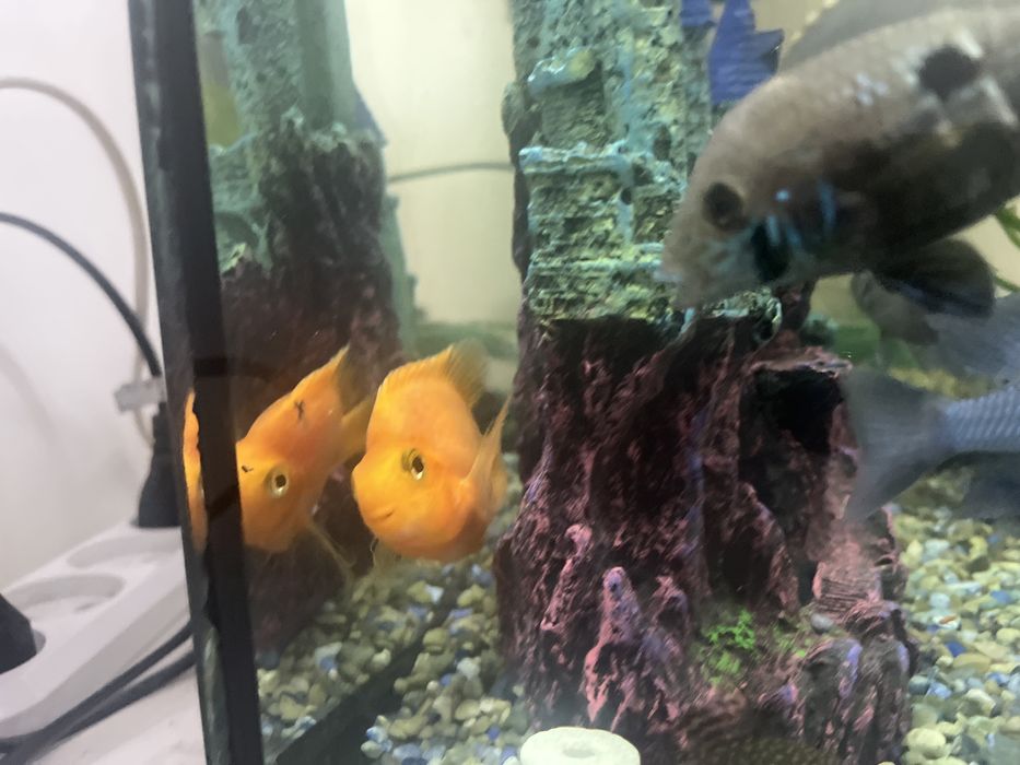 Аквариум 90л комплект