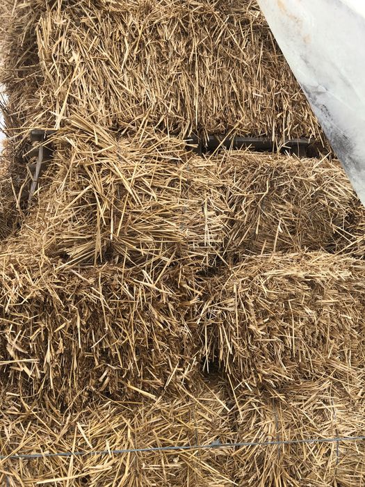 Vand baloti de paie de grâu si baloti de tulei