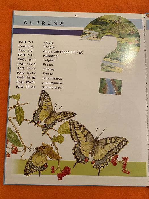 Întrebări si răspunsuri / Prima mea enciclopedie (corpul uman) Noi