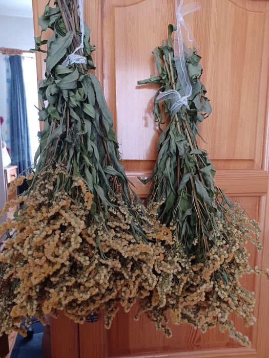 Златна                                                         пръчица