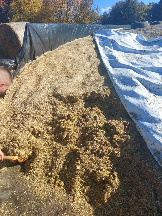 Siloz de porumb  de vanzare