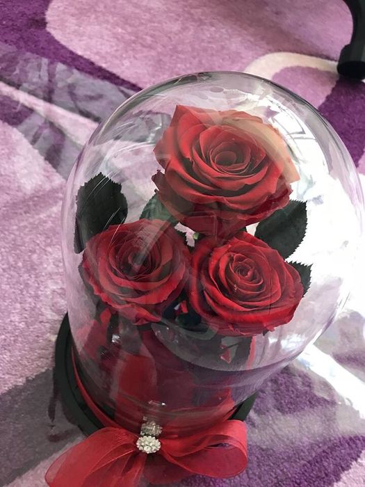 Trandafiri criogenati cadou ce rezista in timp