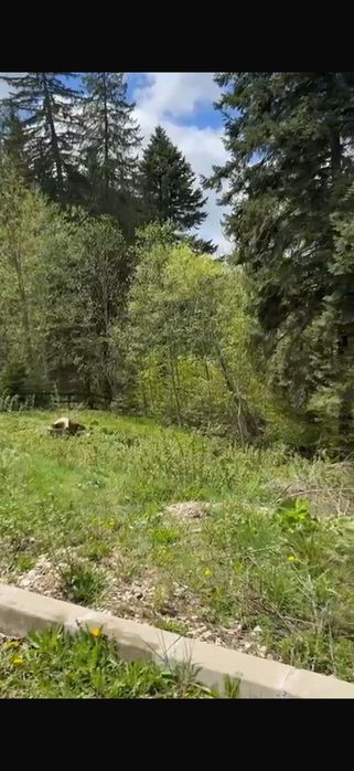 Teren 500 mp de închiriat, Predeal Cioplea