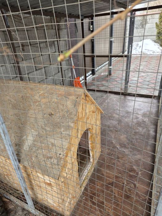 Вольер с будкой