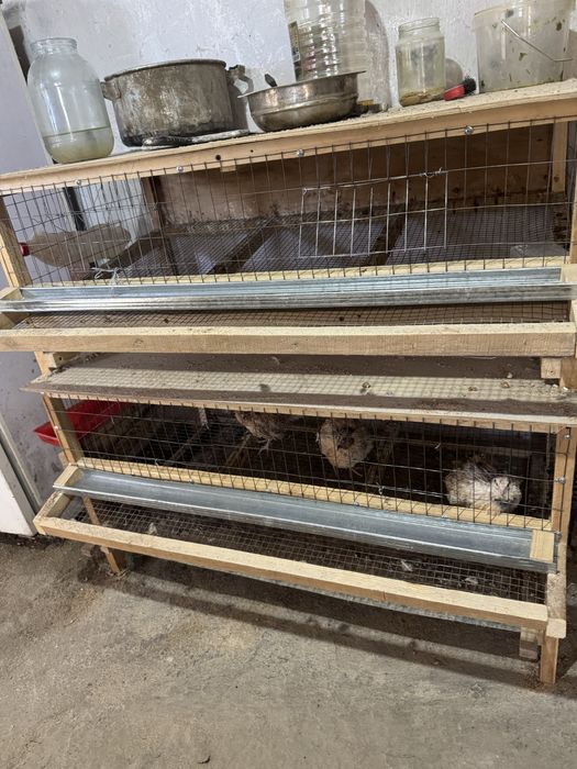 Продам клетки для перепёлок